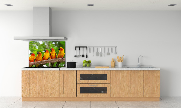 Kitchen splashback Parrots on a branch