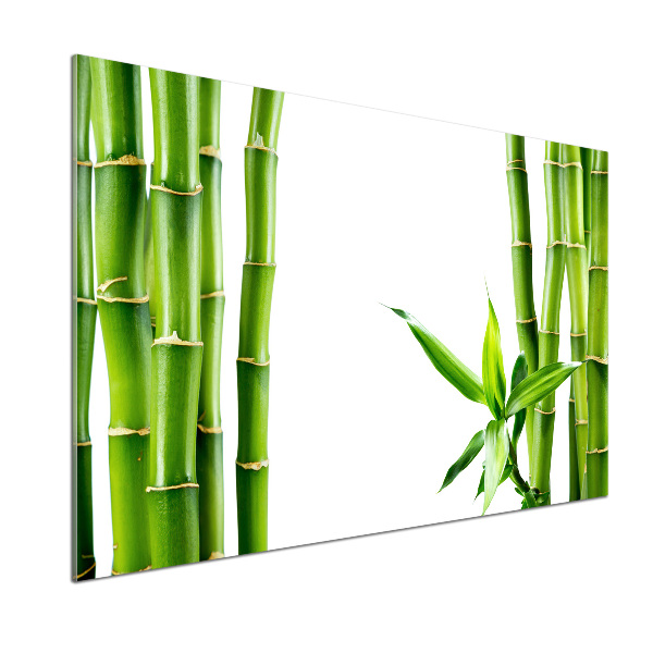 Cooker splashback Bamboo