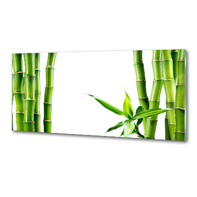 Cooker splashback Bamboo