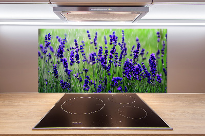 Cooker splashback Lavender