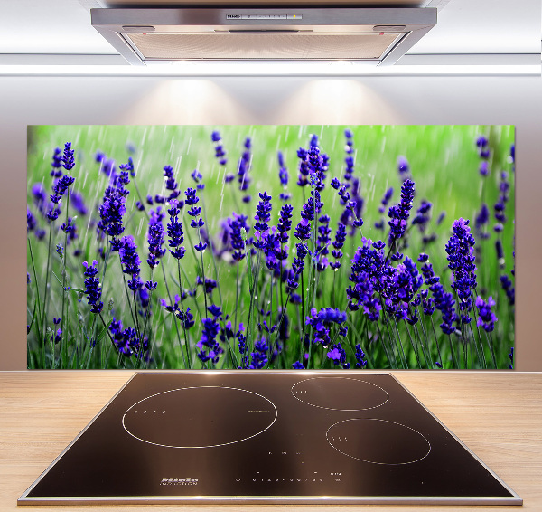 Cooker splashback Lavender