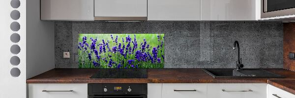 Cooker splashback Lavender