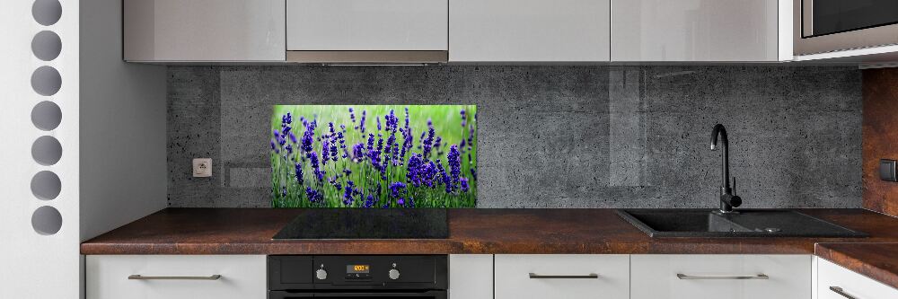 Cooker splashback Lavender