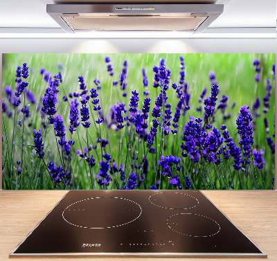 Cooker splashback Lavender