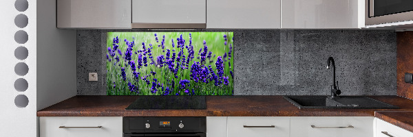 Cooker splashback Lavender