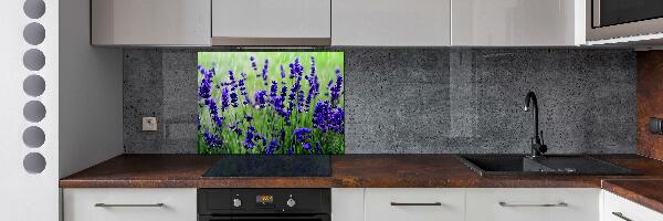 Cooker splashback Lavender