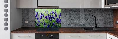 Cooker splashback Lavender