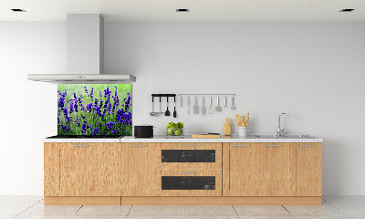 Cooker splashback Lavender