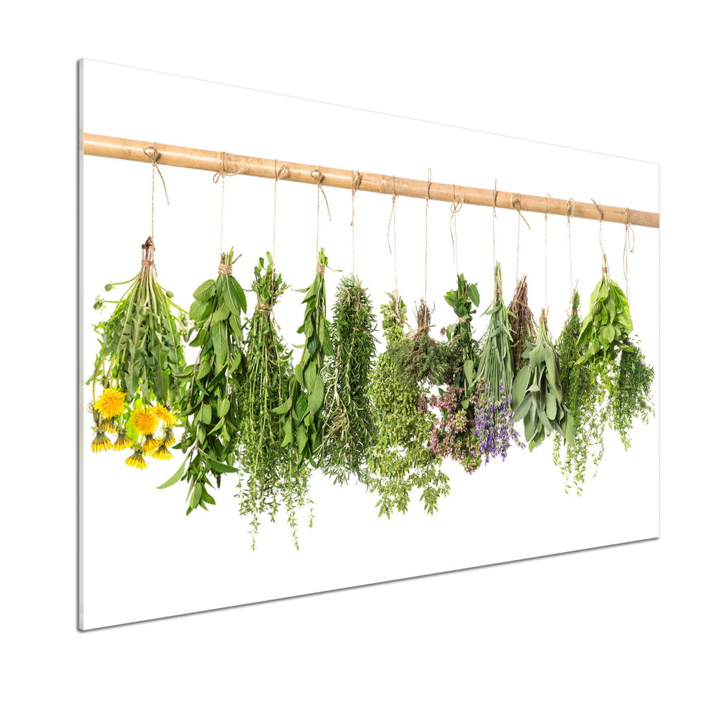 Cooker splashback Herbs on a string