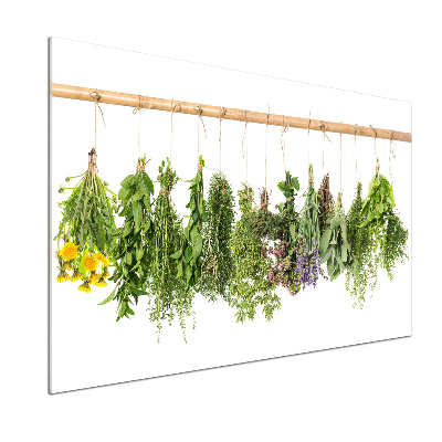 Cooker splashback Herbs on a string