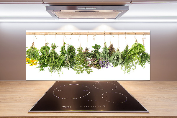 Cooker splashback Herbs on a string