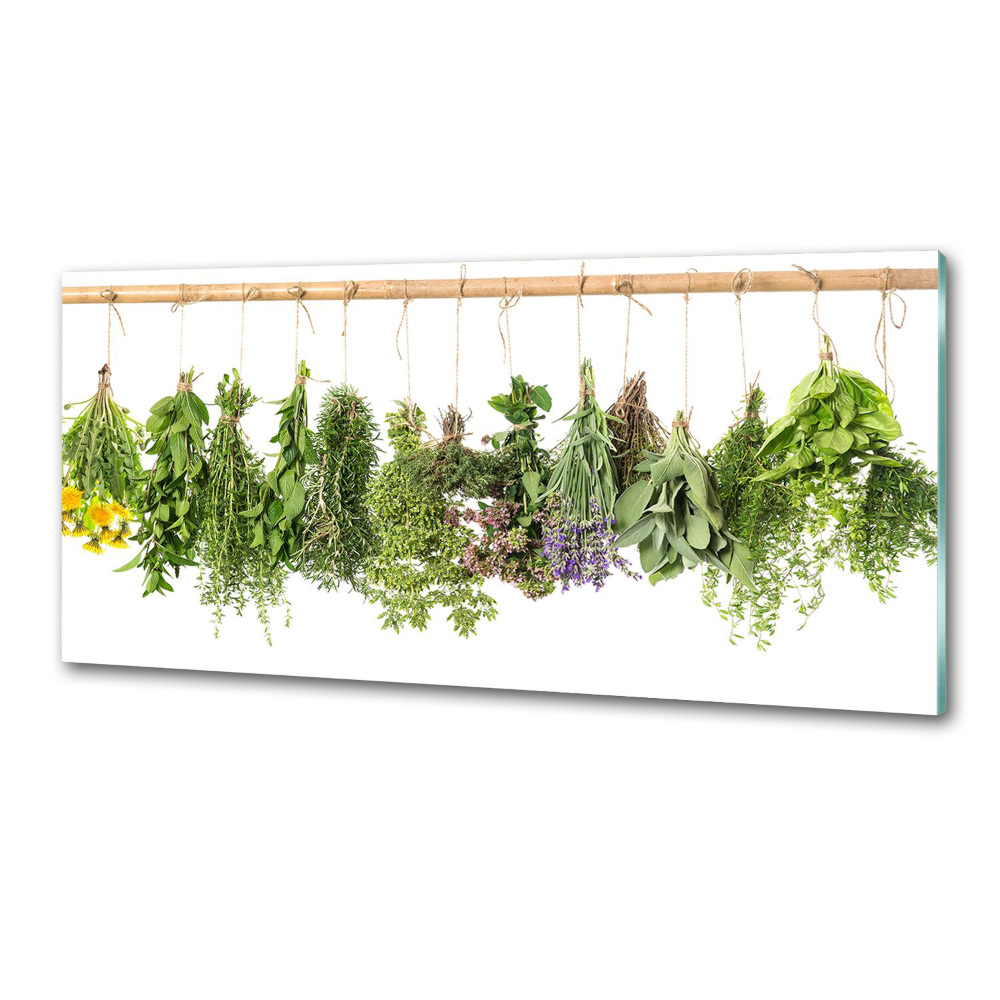 Cooker splashback Herbs on a string