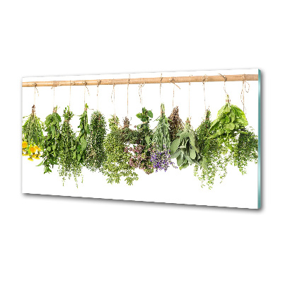 Cooker splashback Herbs on a string