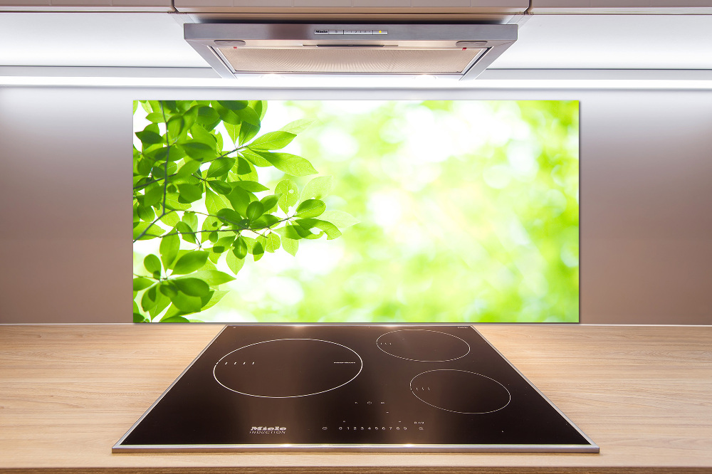 Cooker splashback Leaves