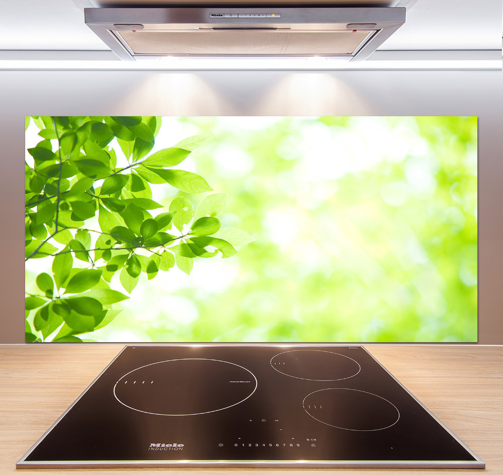 Cooker splashback Leaves