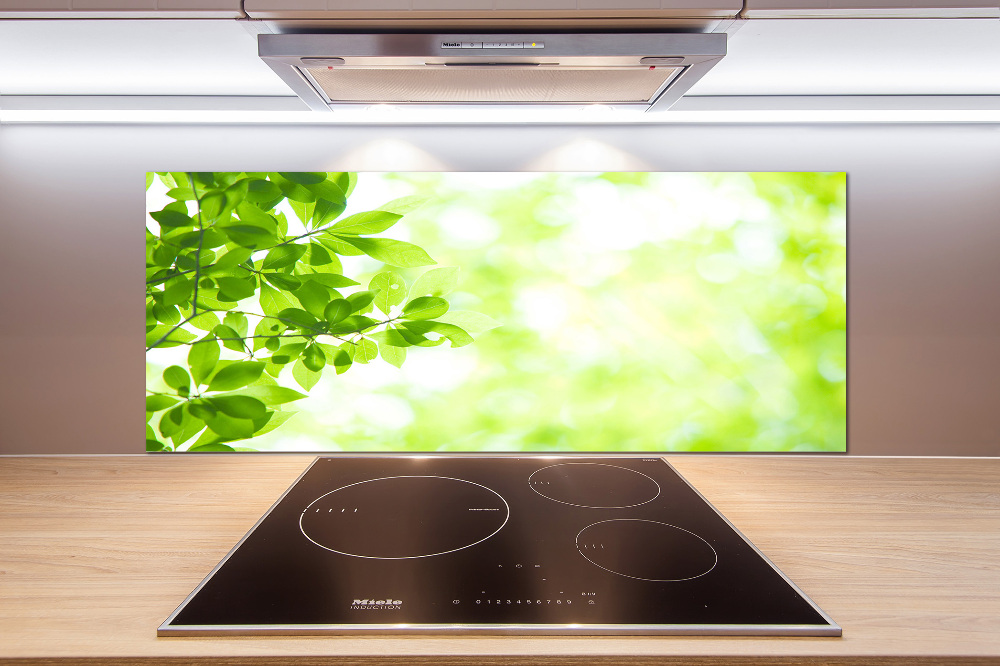 Cooker splashback Leaves