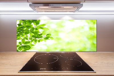 Cooker splashback Leaves