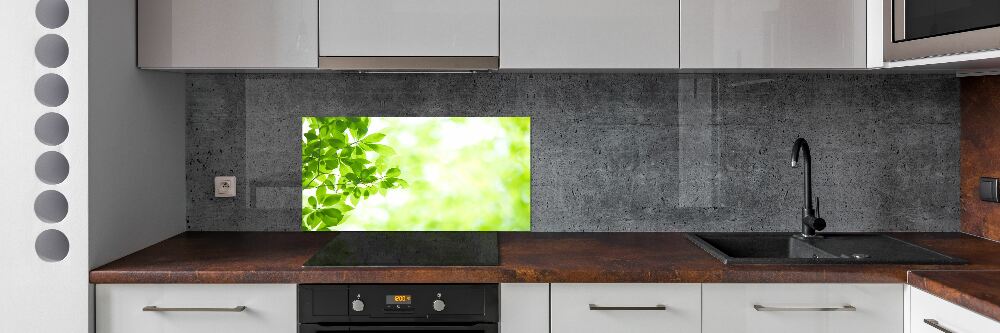 Cooker splashback Leaves