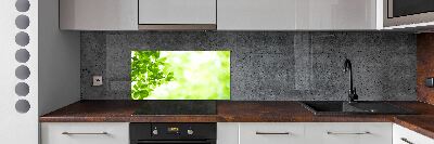 Cooker splashback Leaves