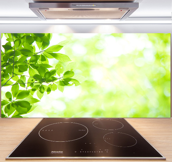 Cooker splashback Leaves