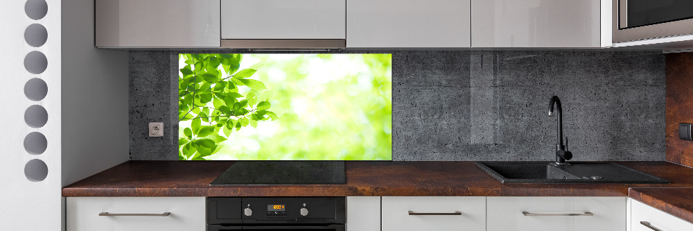 Cooker splashback Leaves