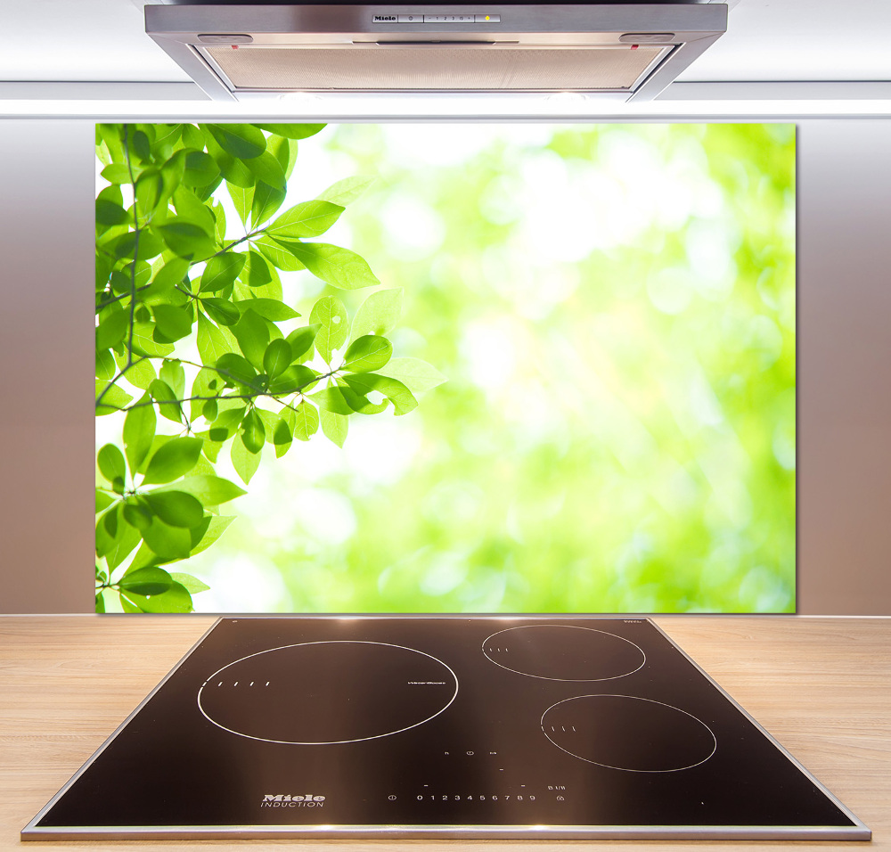 Cooker splashback Leaves