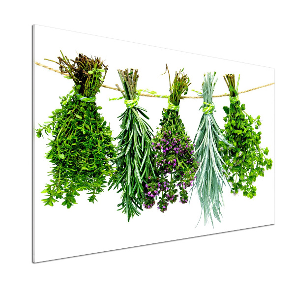 Cooker splashback Herbs on a string