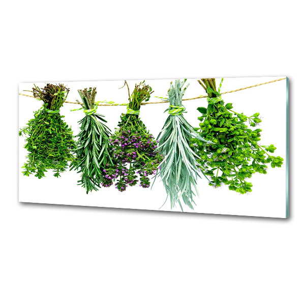 Cooker splashback Herbs on a string