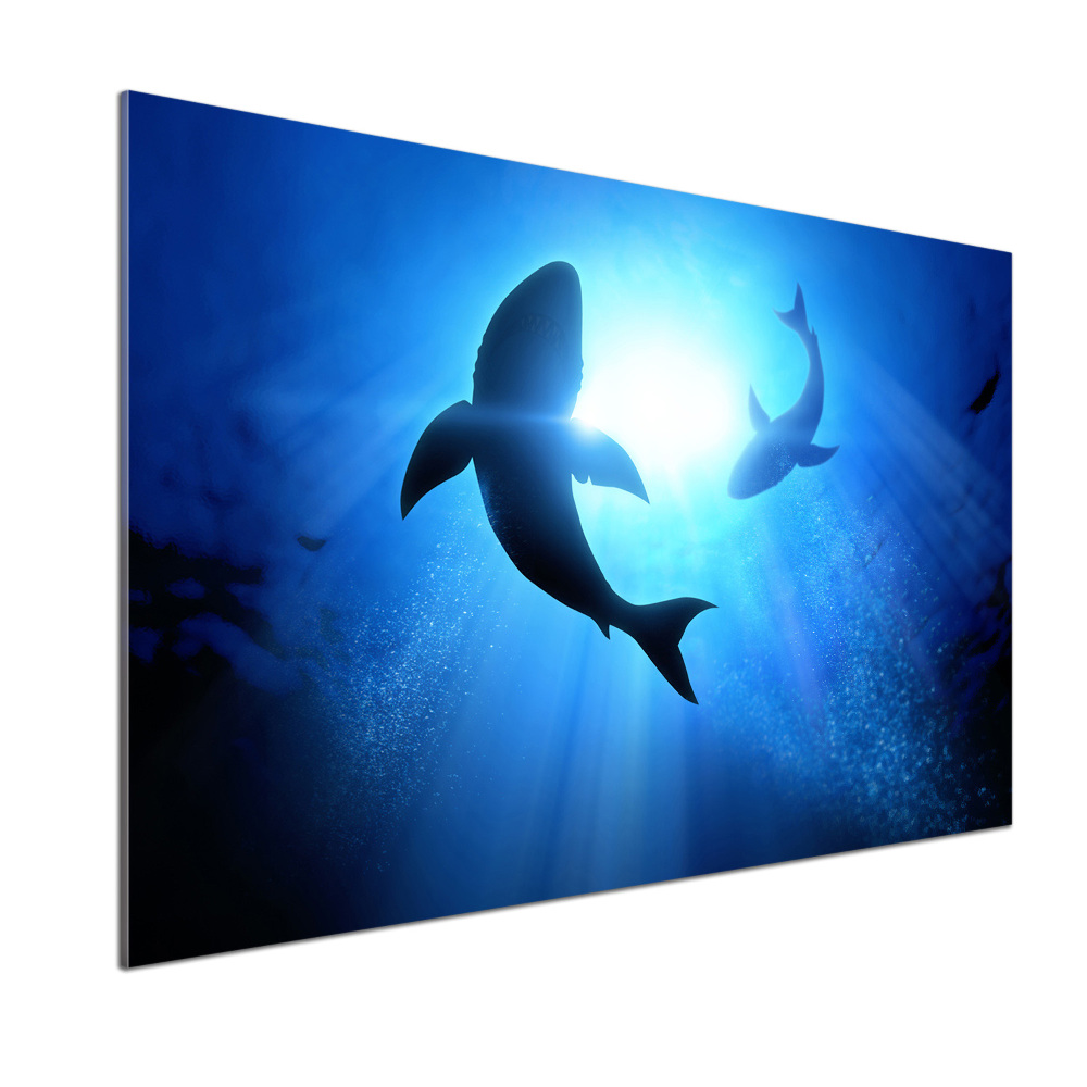 Kitchen splashback Two sharks