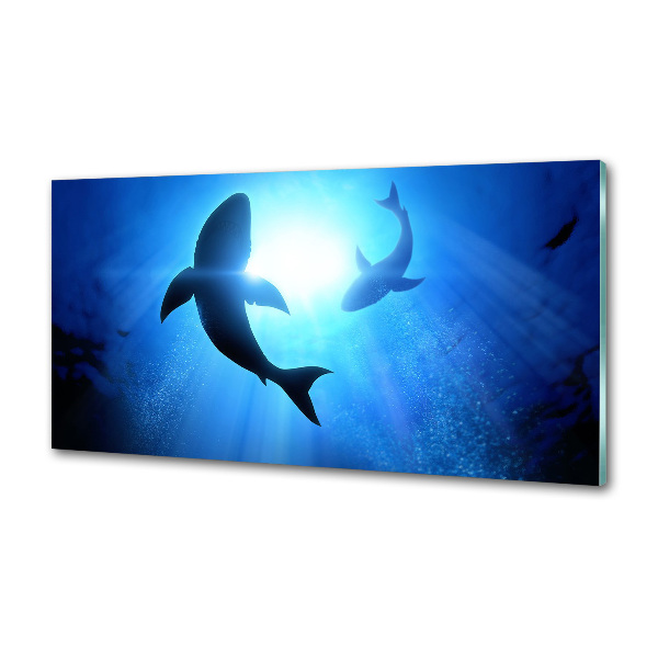 Kitchen splashback Two sharks