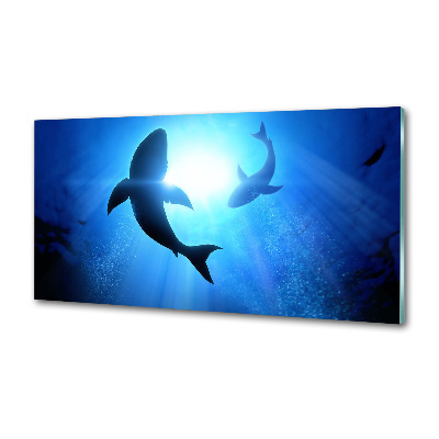 Kitchen splashback Two sharks