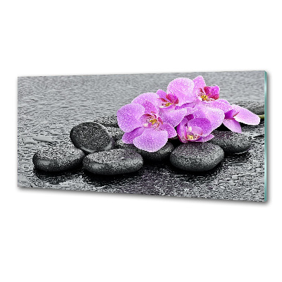 Cooker splashback Stones orchids