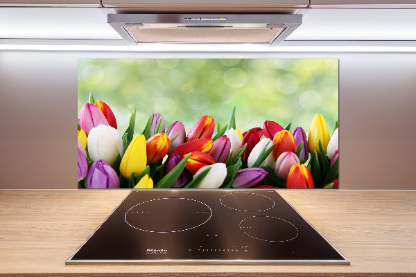 Cooker splashback Colorful tulips