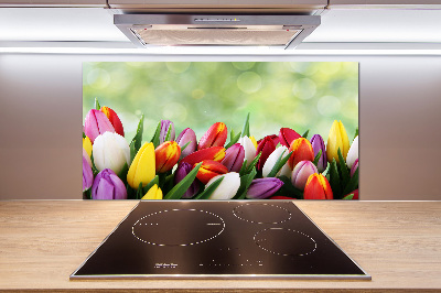 Cooker splashback Colorful tulips