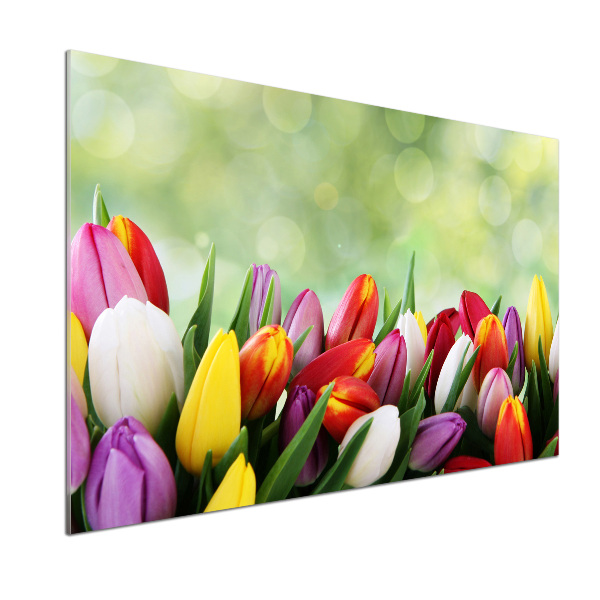 Cooker splashback Colorful tulips