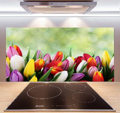 Cooker splashback Colorful tulips