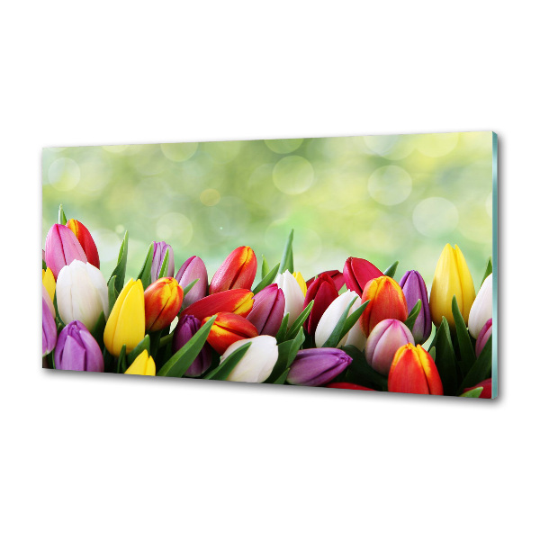 Cooker splashback Colorful tulips