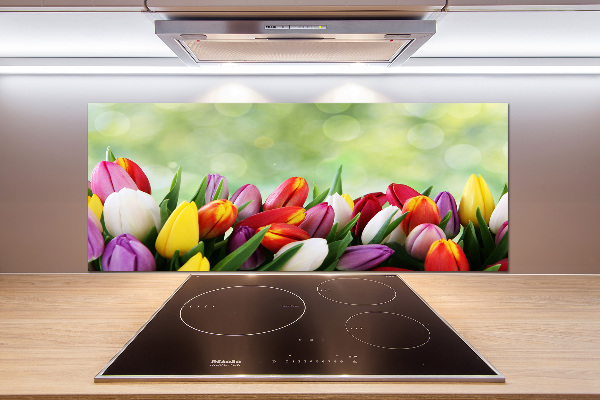 Cooker splashback Colorful tulips