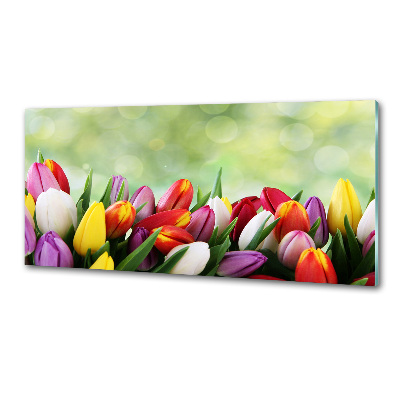 Cooker splashback Colorful tulips