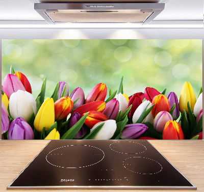 Cooker splashback Colorful tulips