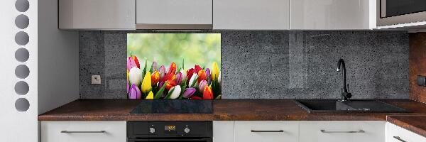 Cooker splashback Colorful tulips