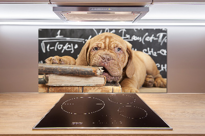 Glass splashback The dog bites a book