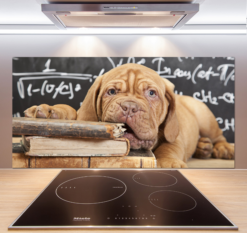 Glass splashback The dog bites a book