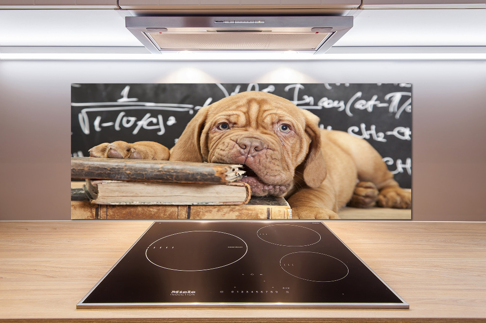 Glass splashback The dog bites a book