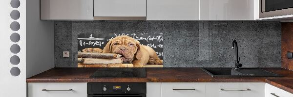 Glass splashback The dog bites a book