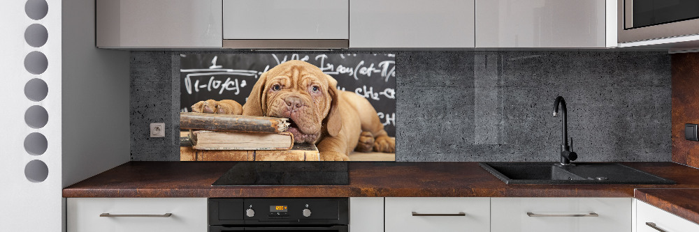 Glass splashback The dog bites a book