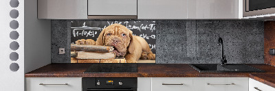 Glass splashback The dog bites a book