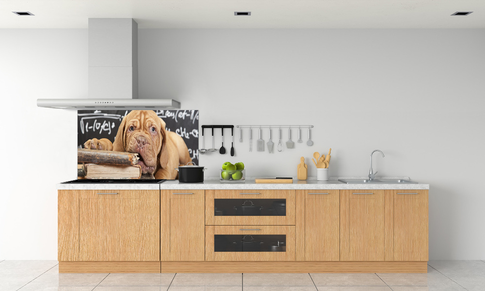 Glass splashback The dog bites a book