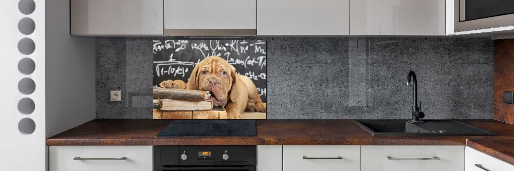 Glass splashback The dog bites a book