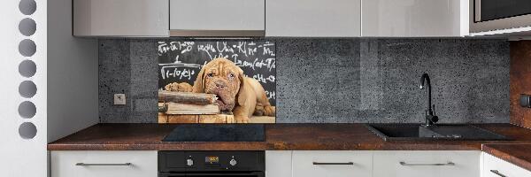 Glass splashback The dog bites a book